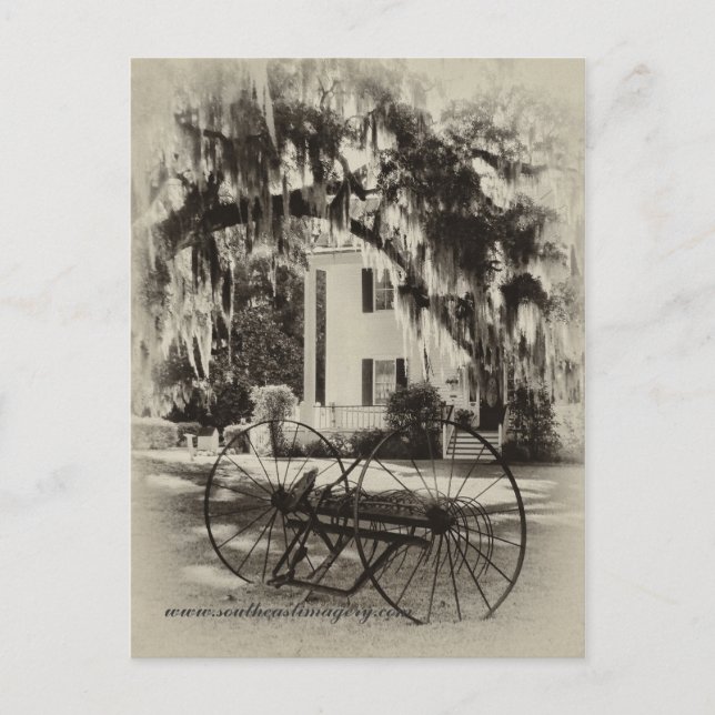 Cartão Postal Visão do Cartaz do Velho Sul (Frente)