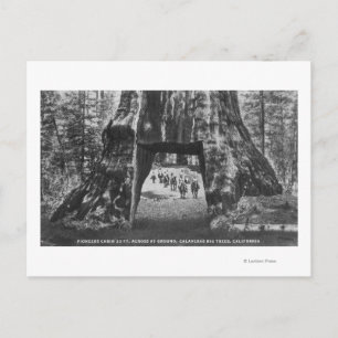 Cartão Postal Visão dos Pioneiros Cabin, Homens em Horseback