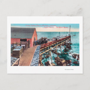 Cartão Postal Visão Exterior da Embalagem da Del Monte Sardine