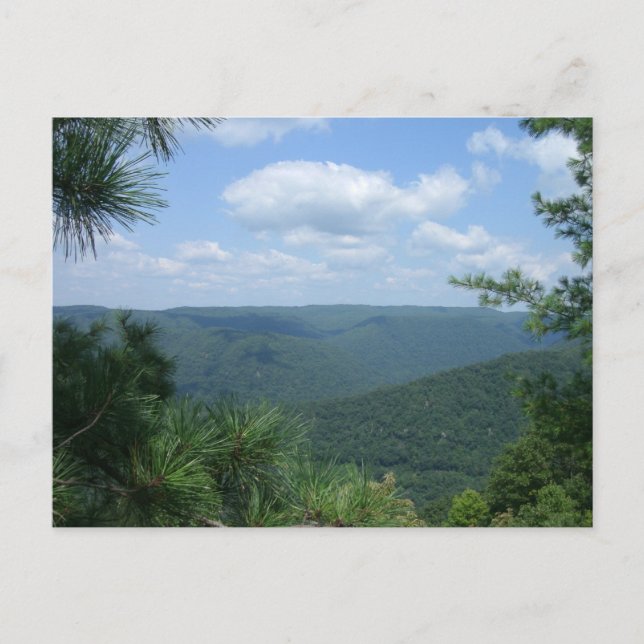 Cartão Postal Visão Geral (Frente)