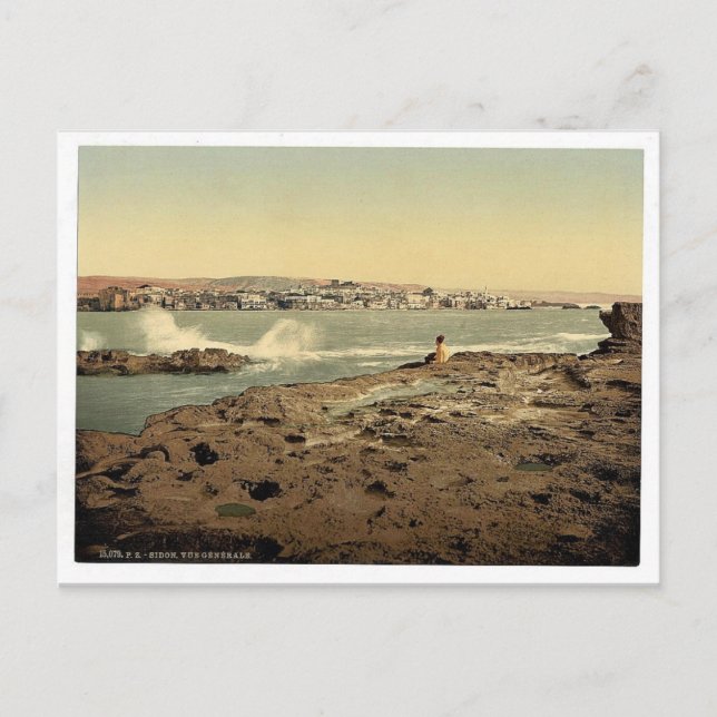Cartão Postal Visão geral, Sidon, Terra Santa, (ou seja, Líbano) (Frente)