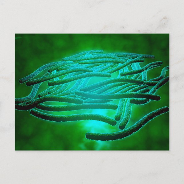 Cartão Postal Visão Microscópica Da Legionella Pneumophila 1 (Frente)