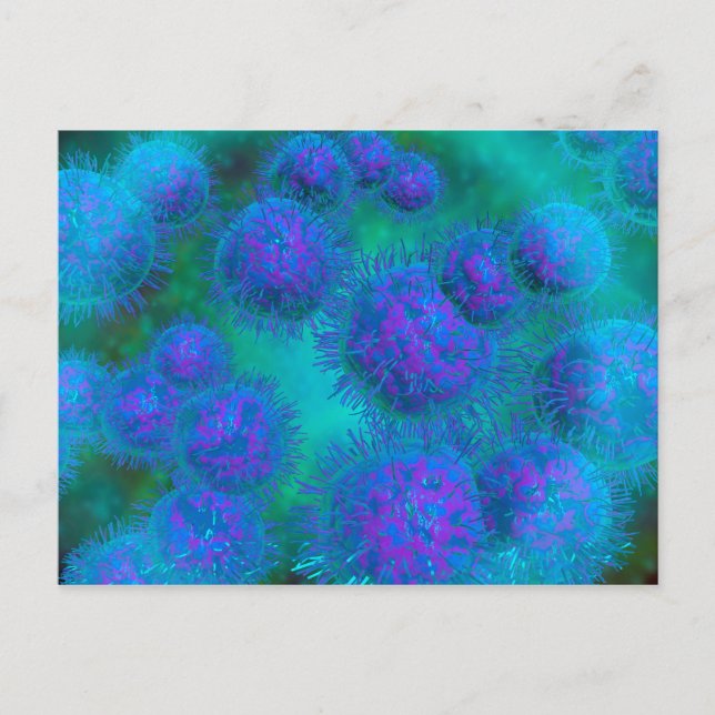 Cartão Postal Visão Microscópica De Diplococcus Bacterium (Frente)