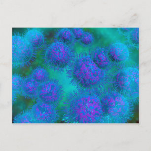 Cartão Postal Visão Microscópica De Diplococcus Bacterium