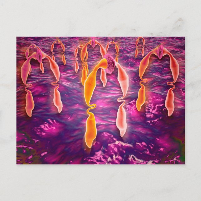 Cartão Postal Visão Microscópica De Ligadura Vinculando A Um Rec (Frente)