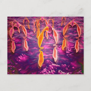 Cartão Postal Visão Microscópica De Ligadura Vinculando A Um Rec