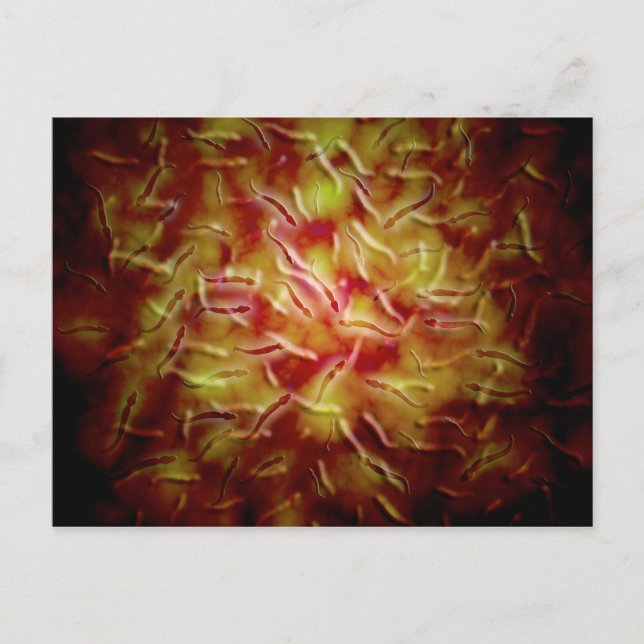 Cartão Postal Visão Microscópica Do Esperma (Frente)