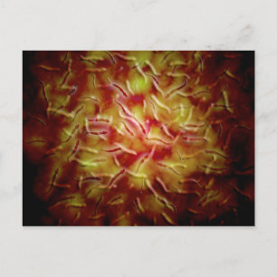 Cartão Postal Visão Microscópica Do Esperma