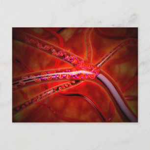 Cartão Postal Visão Microscópica Do Medicamento Injetado