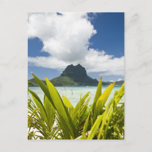 Cartão Postal Visita a uma pequena ilha de piquenique em lagoa e