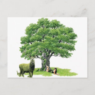 Cartão Postal Visita Com Padre Oak