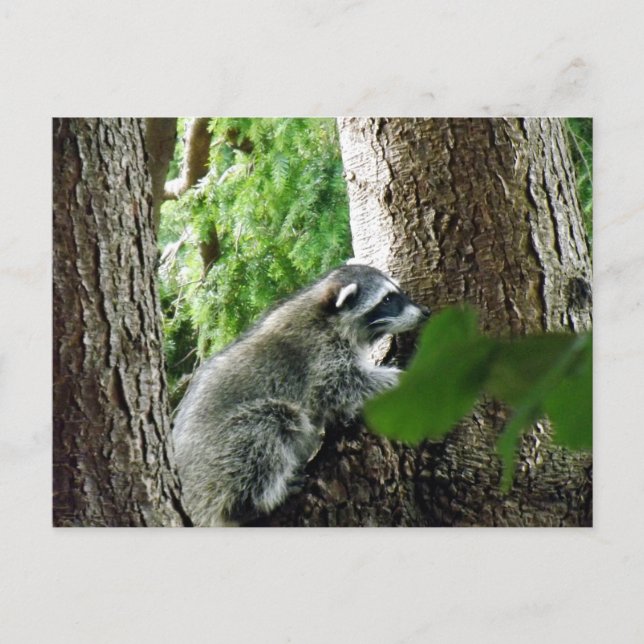 Cartão Postal Visitante Inesperado, #6 (Frente)