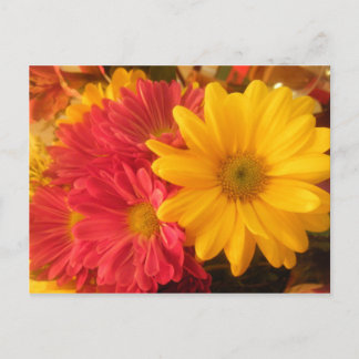 Cartão Postal Visitas Rosa e Amarelo