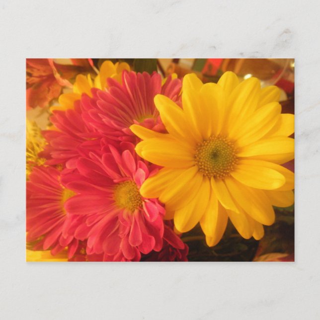 Cartão Postal Visitas Rosa e Amarelo (Frente)