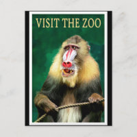 Visite o Zoo, poster de viagens vintage