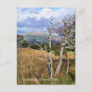 CARTÃO POSTAL VISÕES DAS PAREDES