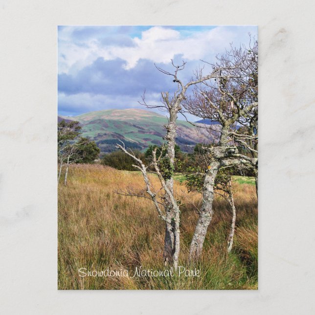 CARTÃO POSTAL VISÕES DAS PAREDES (Frente)