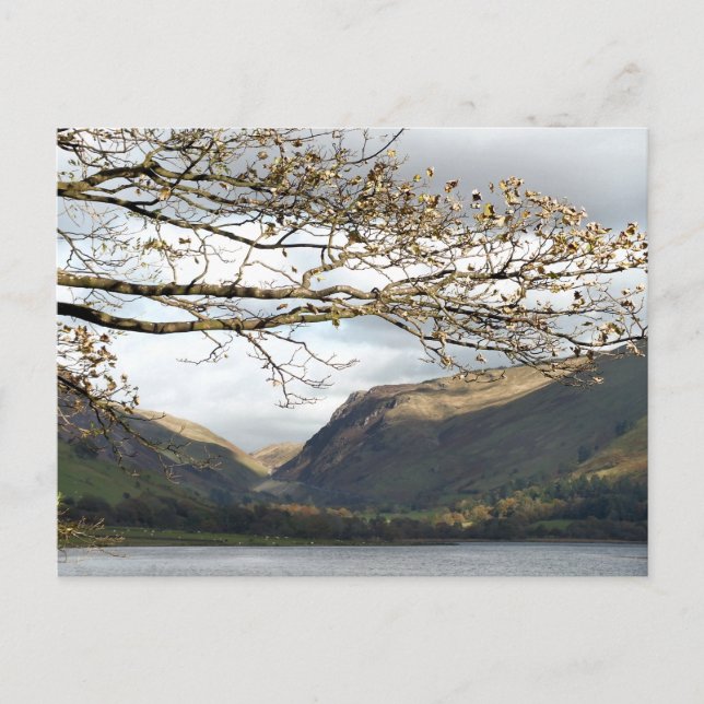 CARTÃO POSTAL VISÕES DAS PAREDES (Frente)