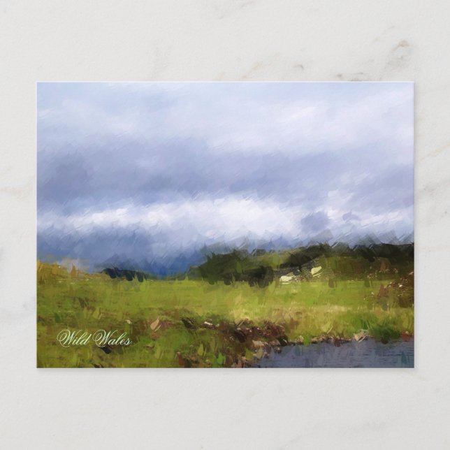 CARTÃO POSTAL VISÕES DAS PAREDES (Frente)