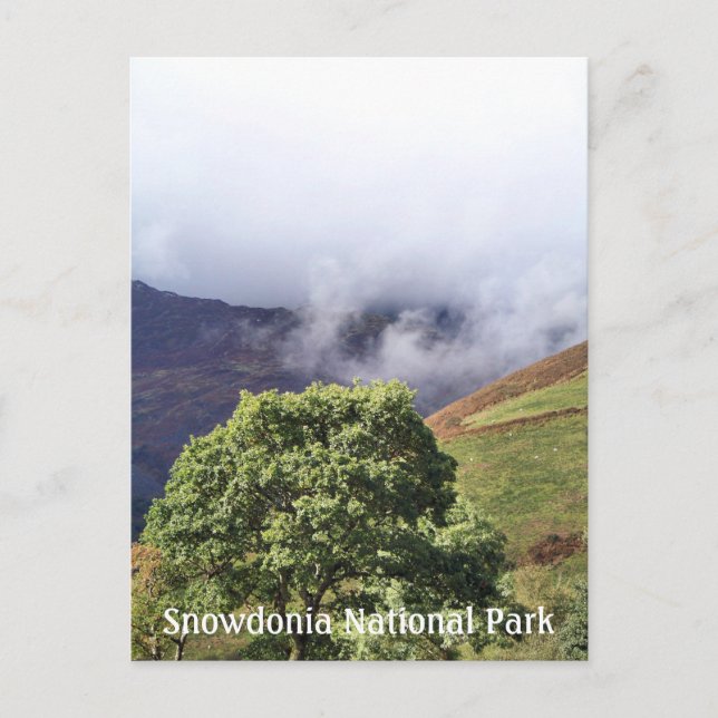 CARTÃO POSTAL VISÕES DAS PAREDES (Frente)