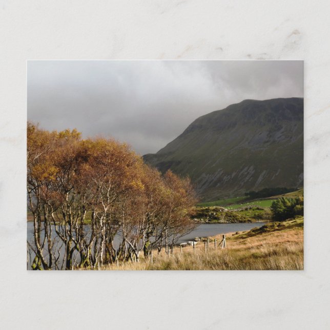 CARTÃO POSTAL VISÕES DAS PAREDES (Frente)