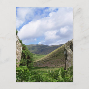 CARTÃO POSTAL VISÕES DAS PAREDES