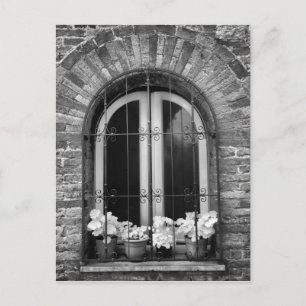 Cartão Postal Vista a preto e branco das janelas e potes de flor