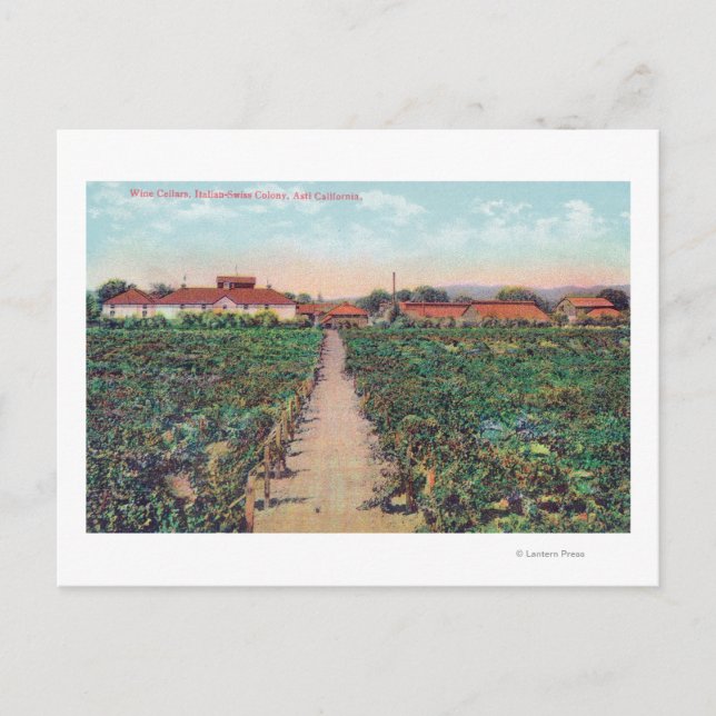 Cartão Postal Vista aérea das vinhas e das lagartas (Frente)