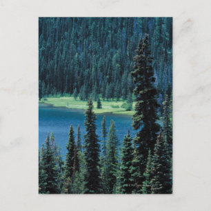 Cartão Postal Vista aérea do Parque Nacional de Grand Teton,