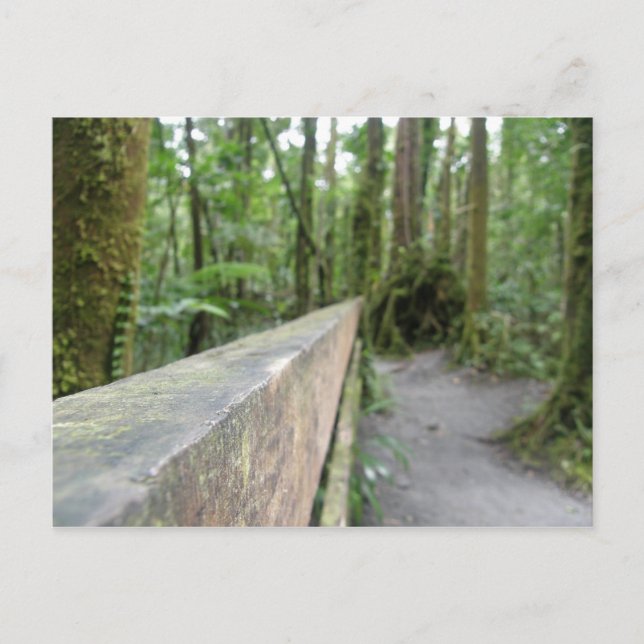 CARTÃO POSTAL VISTA DA FLORESTA TROPICAL DE DOMINICA (Frente)