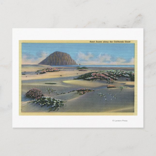 Cartão Postal Vista das dunas de areia ao lado da costa (Frente)