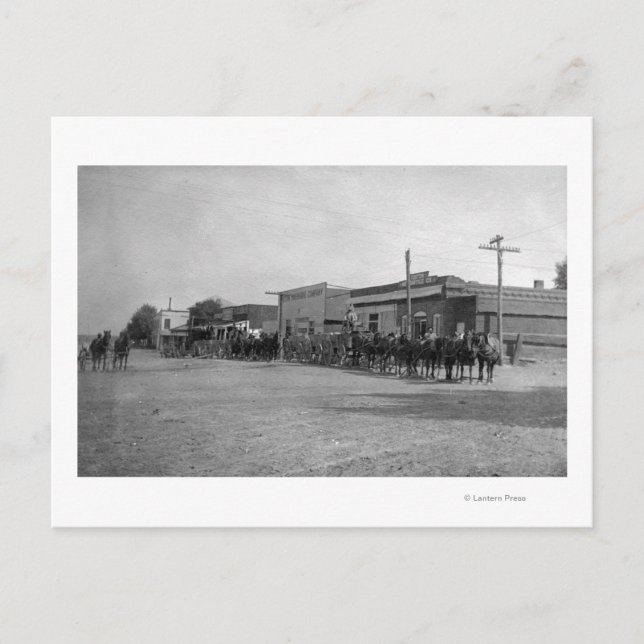 Cartão Postal Vista das Equipes de Vagões de Cavalo na Rua (Frente)