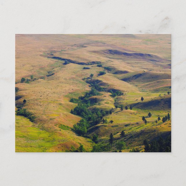 Cartão Postal Vista das planícies que circundam o botão do urso, (Frente)