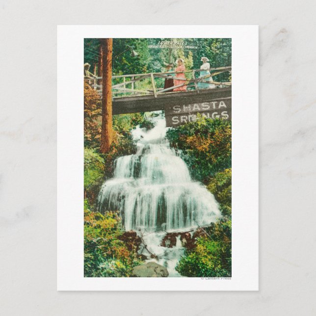 Cartão Postal Vista das Primaveras do Lower FallsShasta, CA (Frente)