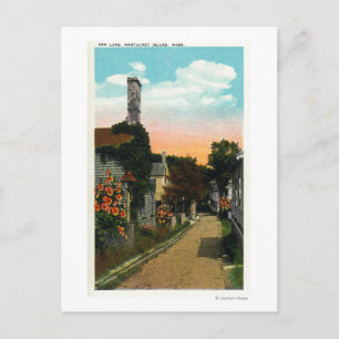 Cartão Postal Vista de Ash Lane