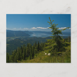 CARTÃO POSTAL ~ Vista de Clark Fork de Scotchman