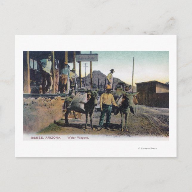 Cartão Postal Vista de Donkeys Carregando WaterBisbee, AZ (Frente)