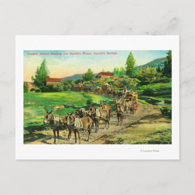 Cartão Postal Vista de Equipes de Frete que Hauling Bartlett Wat (Frente)