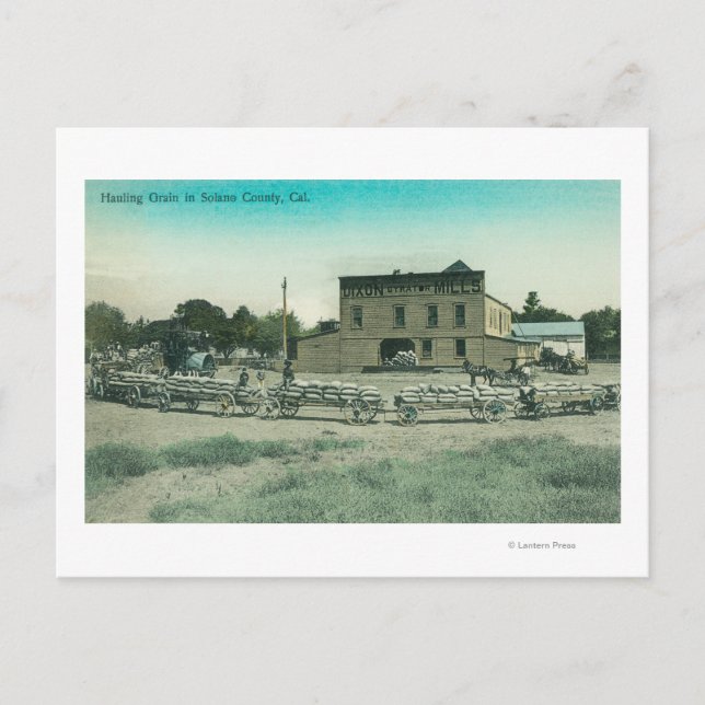 Cartão Postal Vista de Milers Hauling Grain to Mill (Frente)
