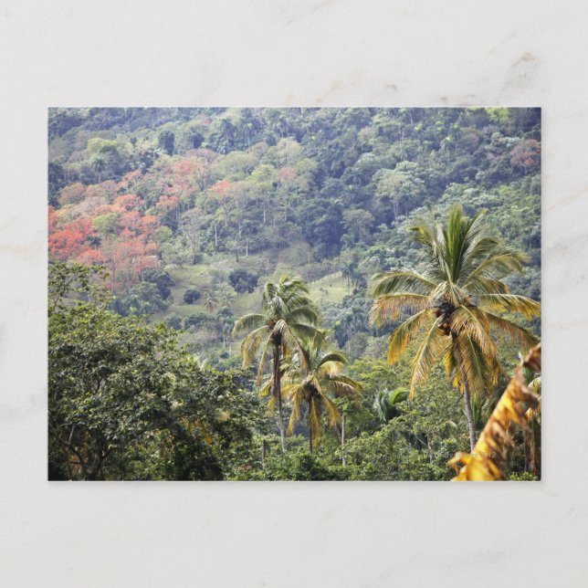 Cartão Postal Vista de montanha, República Dominicana. (Frente)