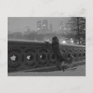 Cartão Postal Vista de Neve da Ponte do Arco