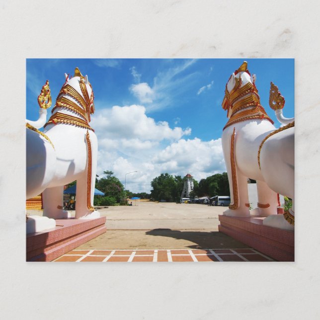 Cartão Postal Vista de olhos de leão (Frente)