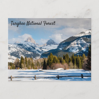 Cartão Postal Vista de Targhee National Forest Teton