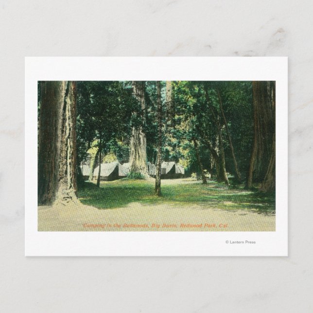 Cartão Postal Vista de um acampamento nas Sequoias (Frente)