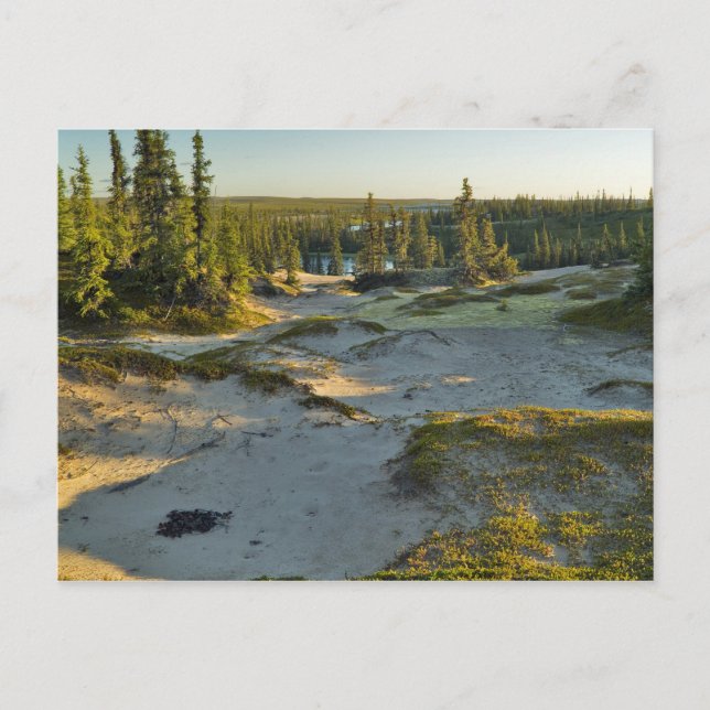 Cartão Postal Vista de um lago e das colinas de areia circundant (Frente)