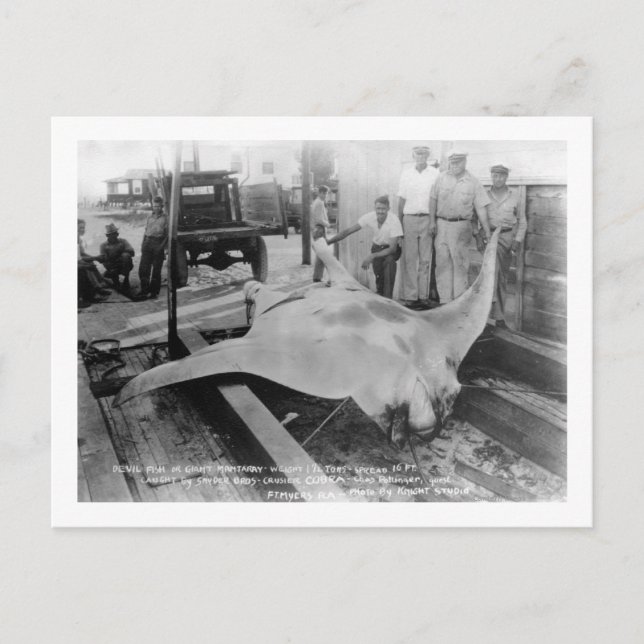 Cartão Postal Vista de uma matriz capturada (Frente)