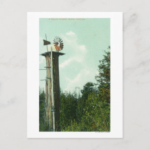 Cartão Postal Vista de uma Sequoia Wind MillEureka, CA