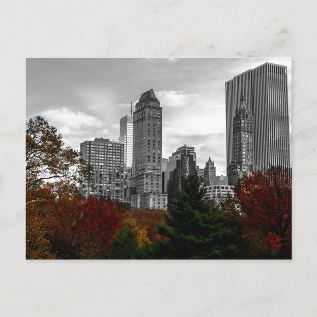 Cartão Postal Vista do Central Park em Nova Iorque (Frente)