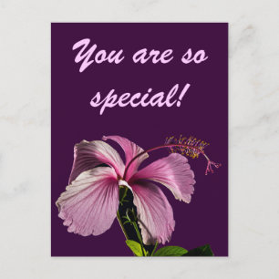 Cartão Postal Vista do Lado da Flor do Hibiscus Rosa