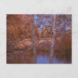 Cartão Postal Vista do Lago Montana Sunset